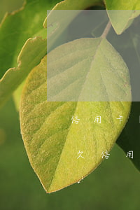 信用卡網(wǎng)貸欠多少錢會被起訴(欠信用卡欠多少錢會被起訴)