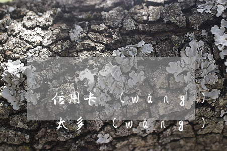 信用卡網(wǎng)貸欠太多要怎么還(欠太多網(wǎng)貸信用卡無力償還)