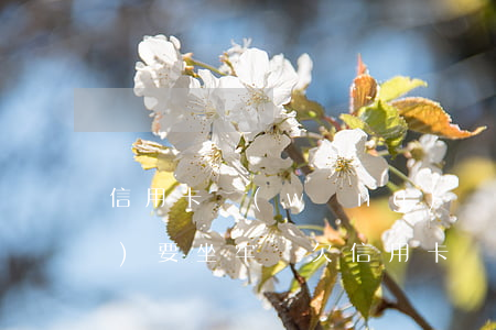 信用卡網(wǎng)貸欠幾十萬(wàn)要坐牢嗎(欠信用卡幾十萬(wàn)會(huì)坐牢嗎)