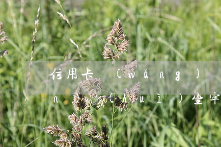 信用卡網(wǎng)貸欠我60萬(wàn)會(huì)坐牢嗎