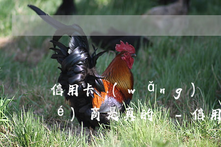 信用卡網(wǎng)貸法律顧問協(xié)商是真的嗎-信用卡網(wǎng)貸法律顧問協(xié)商是真的嗎嗎