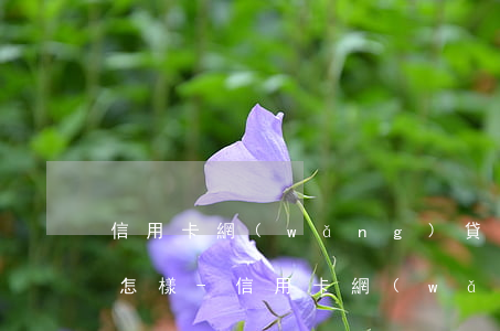 信用卡網(wǎng)貸無力償還到最后會怎樣-信用卡網(wǎng)貸無力償還到最后會怎樣處理