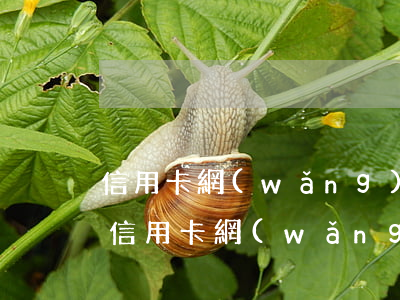 信用卡網(wǎng)貸無逾期下不了貸款(信用卡網(wǎng)貸無逾期下不了貸款合同)
