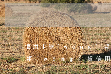 信用卡網(wǎng)貸百萬逾期還不了-網(wǎng)貸信用卡50多萬全部逾期怎么辦