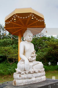 信用卡網(wǎng)貸花唄都逾期了怎么辦（信用卡網(wǎng)貸花唄都逾期）