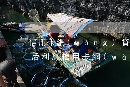 信用卡網(wǎng)貸負(fù)債逾期后利息(信用卡網(wǎng)貸全部逾期)