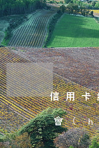 信用卡網(wǎng)貸負(fù)債逾期會(huì)怎么樣(信用卡網(wǎng)貸負(fù)債逾期會(huì)怎么樣嗎)