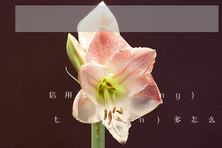 信用卡網(wǎng)貸車(chē)貸欠七萬(wàn)多怎么辦(欠信用卡網(wǎng)貸60多萬(wàn))