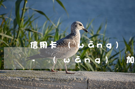 信用卡網(wǎng)貸逾期200多天了-網(wǎng)貸加信用卡逾期20多萬(wàn)怎么辦