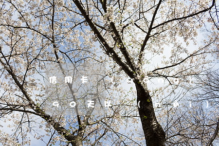 信用卡網(wǎng)貸逾期90天(信用卡90天以內(nèi)逾期會怎么樣)