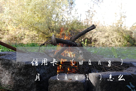 信用卡網(wǎng)貸逾期一個(gè)月會(huì)怎么樣(網(wǎng)貸和信用卡逾期一個(gè)月會(huì)怎么樣)