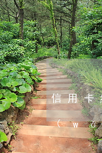 信用卡網(wǎng)貸逾期中斷(信用卡,網(wǎng)貸逾期怎么處理方法)