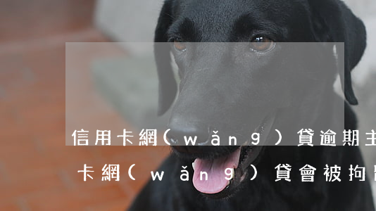 信用卡網(wǎng)貸逾期主播-欠信用卡網(wǎng)貸會被拘留嗎