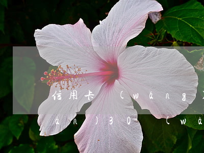 信用卡網(wǎng)貸逾期了30萬(wàn)(30萬(wàn)網(wǎng)貸逾期兩年了)