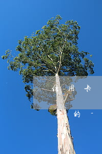 信用卡網(wǎng)貸逾期先還多的還是少的-網(wǎng)貸和信用卡逾期先還哪一個(gè)
