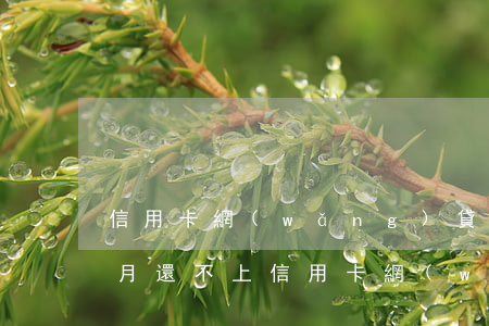 信用卡網(wǎng)貸逾期六個(gè)月還不上(信用卡網(wǎng)貸逾期六個(gè)月還不上)