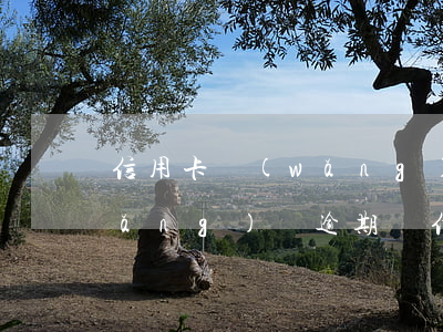 信用卡網(wǎng)貸逾期利息-網(wǎng)貸逾期與信用卡逾期區(qū)別