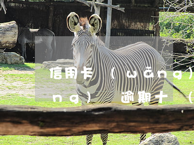 信用卡 網(wǎng)貸逾期十年(網(wǎng)貸逾期十個(gè)月)
