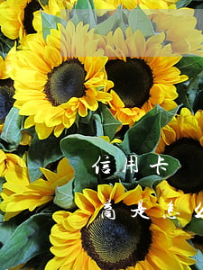 信用卡網(wǎng)貸逾期協(xié)商是怎么協(xié)商的-信用卡網(wǎng)貸逾期協(xié)商是怎么協(xié)商的呢