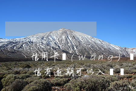 信用卡網(wǎng)貸逾期可以入黨不(征信有逾期可以入黨嗎?)