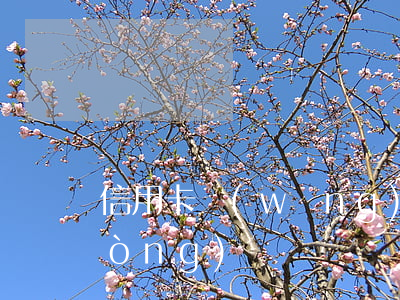 信用卡網(wǎng)貸逾期可以坐動(dòng)車嗎