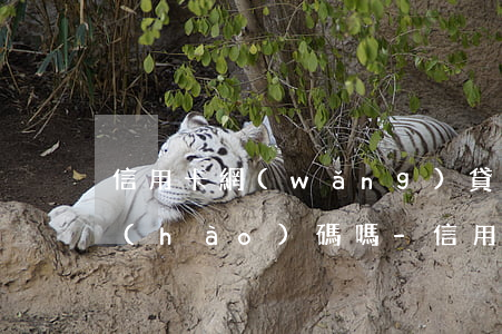 信用卡網(wǎng)貸逾期可以換電話號(hào)碼嗎-信用卡網(wǎng)貸逾期可以換電話號(hào)碼嗎安全嗎