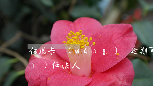 信用卡網(wǎng)貸逾期可以擔(dān)任法人嗎