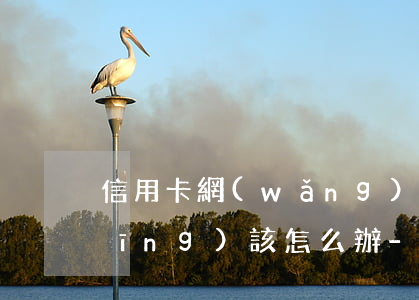 信用卡網(wǎng)貸逾期后我們應(yīng)該怎么辦-信用卡網(wǎng)貸逾期后我們應(yīng)該怎么辦呢