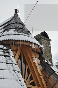 信用卡網(wǎng)貸逾期后果是什么（信用卡加網(wǎng)貸逾期后果）