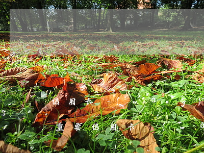 信用卡網(wǎng)貸逾期哪個(gè)重要(信用卡網(wǎng)貸逾期哪個(gè)重要)