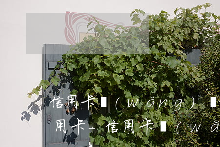 信用卡網(wǎng)貸逾期哪里還能辦信用卡-信用卡網(wǎng)貸逾期哪里還能辦信用卡呢