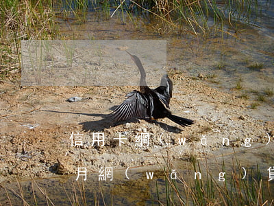 信用卡網(wǎng)貸逾期四個(gè)月(網(wǎng)貸逾期四個(gè)月了怎么辦?)