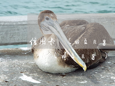 信用卡網(wǎng)貸逾期坐飛機有影響嗎(網(wǎng)貸逾期不可以坐飛機嗎)