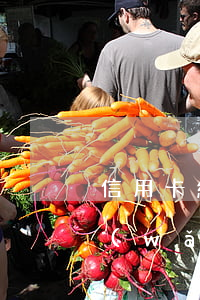 信用卡網(wǎng)貸逾期多久會起訴(網(wǎng)貸逾期多久可以申請信用卡)