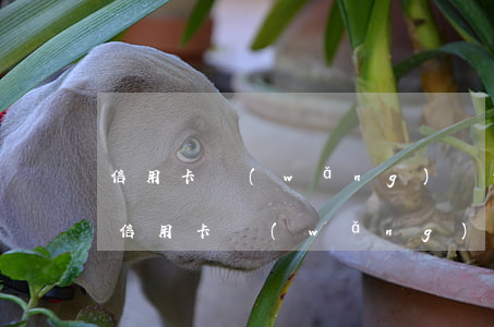信用卡網(wǎng)貸逾期如何還款(各種信用卡網(wǎng)貸都逾期了怎么辦)