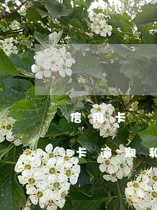 信用卡網(wǎng)貸逾期幾個月了(信用卡逾期和網(wǎng)貸逾期哪個嚴重)