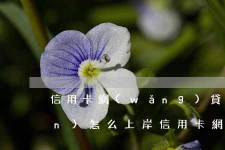 信用卡網(wǎng)貸逾期幾十萬(wàn)怎么上岸(信用卡網(wǎng)貸逾期幾十萬(wàn)怎么上岸)