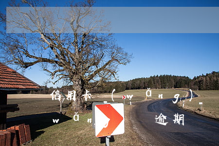 信用卡網(wǎng)貸逾期廣告語-網(wǎng)貸逾期話術(shù)