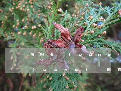信用卡網(wǎng)貸逾期影響房車嗎(網(wǎng)貸逾期會(huì)影響名下房車嗎)
