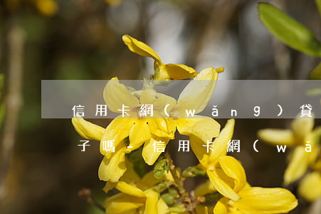 信用卡網(wǎng)貸逾期影響配偶和孩子嗎-信用卡網(wǎng)貸逾期影響配偶和孩子嗎知乎
