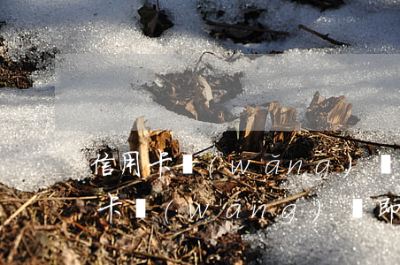 信用卡網(wǎng)貸逾期怎么借錢(信用卡,網(wǎng)貸,即將逾期怎么辦)