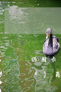 信用卡網(wǎng)貸逾期怎么協(xié)商停息掛賬(網(wǎng)貸逾期多久可以申請停息掛賬)