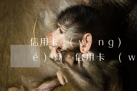 信用卡網(wǎng)貸逾期怎么協(xié)商還(信用卡,網(wǎng)貸逾期怎么處理方法)