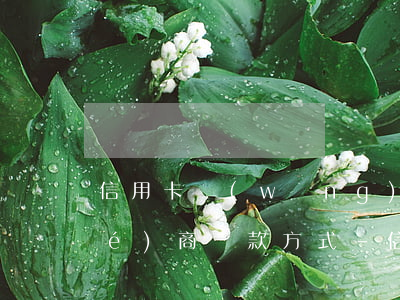信用卡網(wǎng)貸逾期怎么協(xié)商還款方式-信用卡網(wǎng)貸逾期怎么協(xié)商還款方式呢