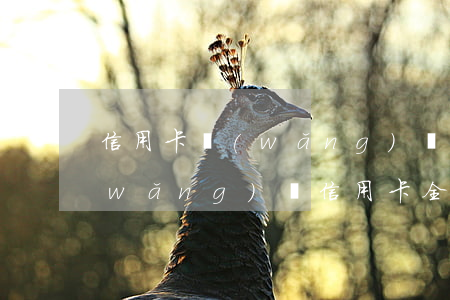 信用卡網(wǎng)貸逾期怎么翻身(網(wǎng)貸信用卡全面逾期)