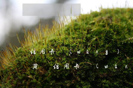 信用卡,網(wǎng)貸逾期怎么處理方法（菏澤信用卡網(wǎng)貸逾期）