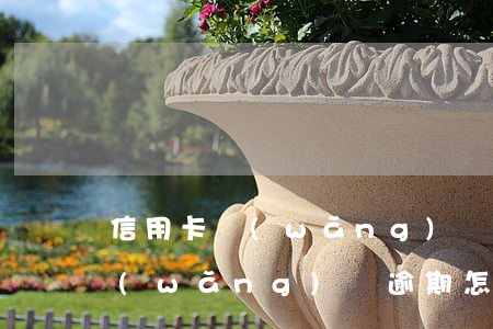 信用卡網(wǎng)貸逾期怎么貸款嗎(網(wǎng)貸逾期怎么辦理信用卡)