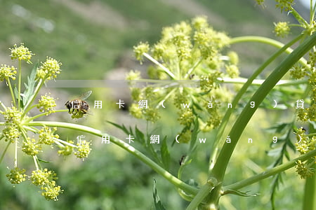 信用卡網(wǎng)貸逾期怎么跑路(各種信用卡網(wǎng)貸都逾期了怎么辦)