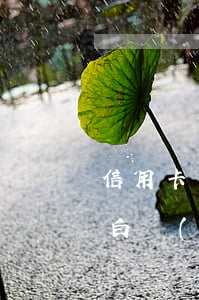 信用卡網(wǎng)貸逾期怎么跟家人坦白(網(wǎng)貸逾期和家人坦白)