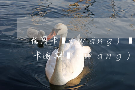 信用卡網(wǎng)貸逾期怎么躲債(信用卡逾期網(wǎng)貸逾期還能借到錢嗎)